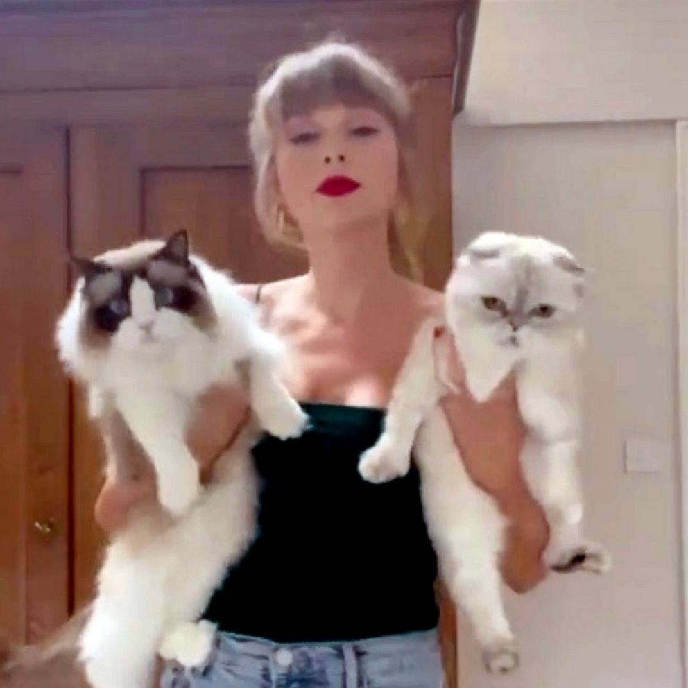 taylor-swift-cat-tik-tok-ht-jc-210826 16