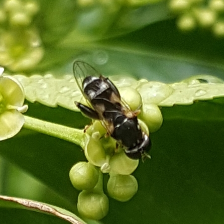 x01