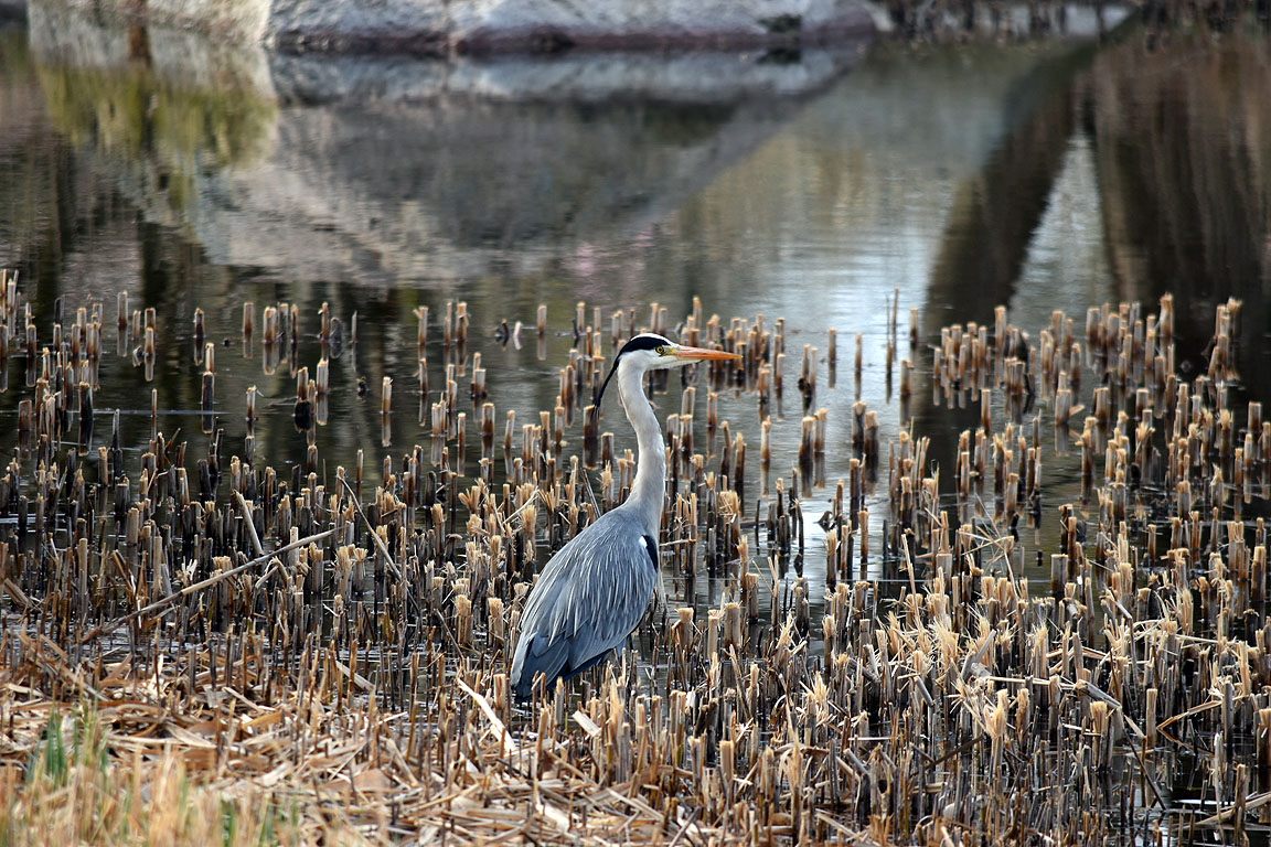 b31fc7a5-eb46-4ba6-afa9-7c148d9204a0