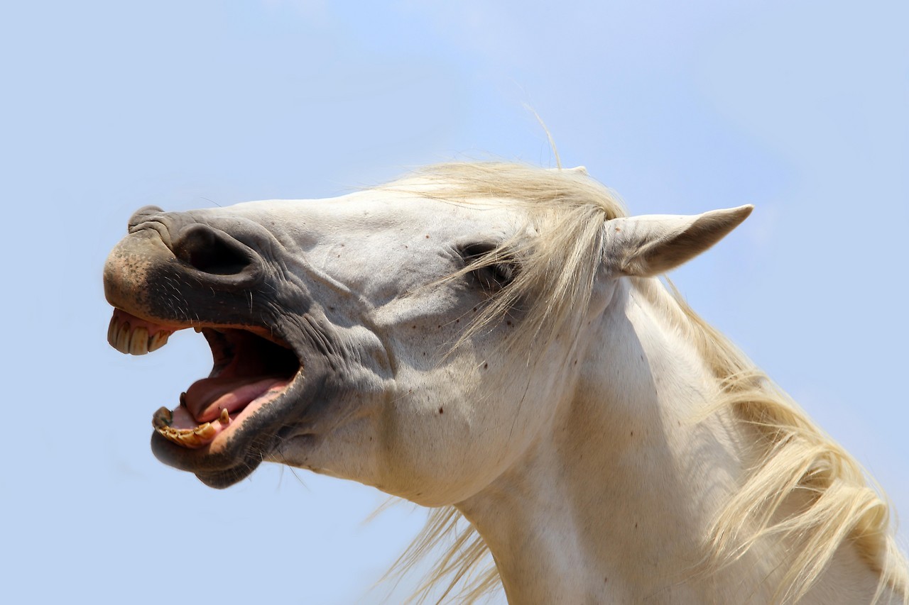 2946970 bigpicture 1139288 adobestock 38