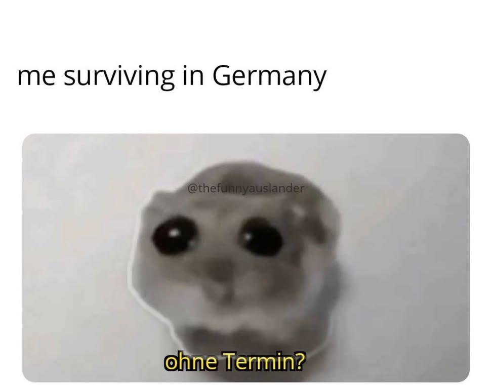 IMG 20260323 222434 536