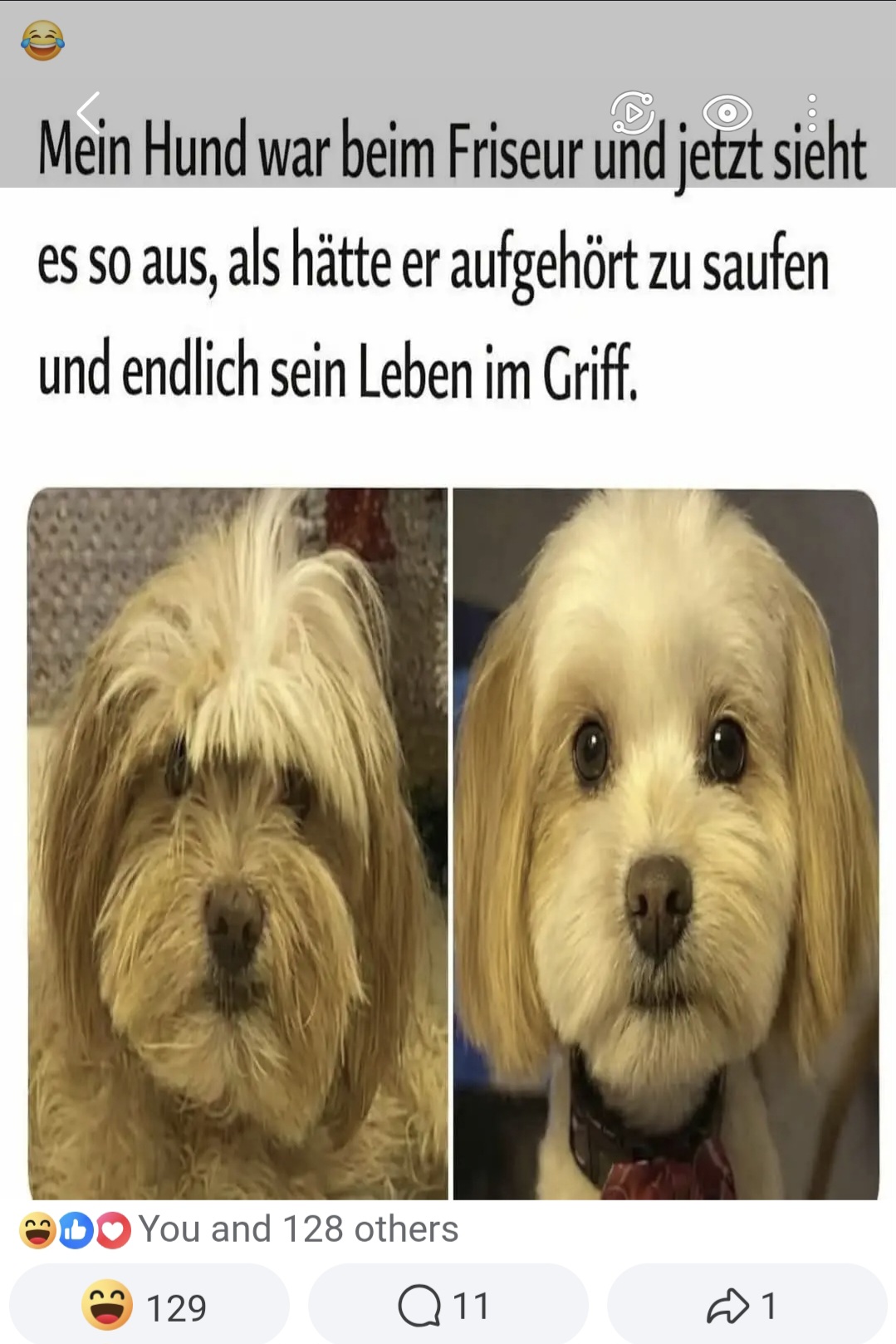 Screenshot 20260301 173600 Gallery