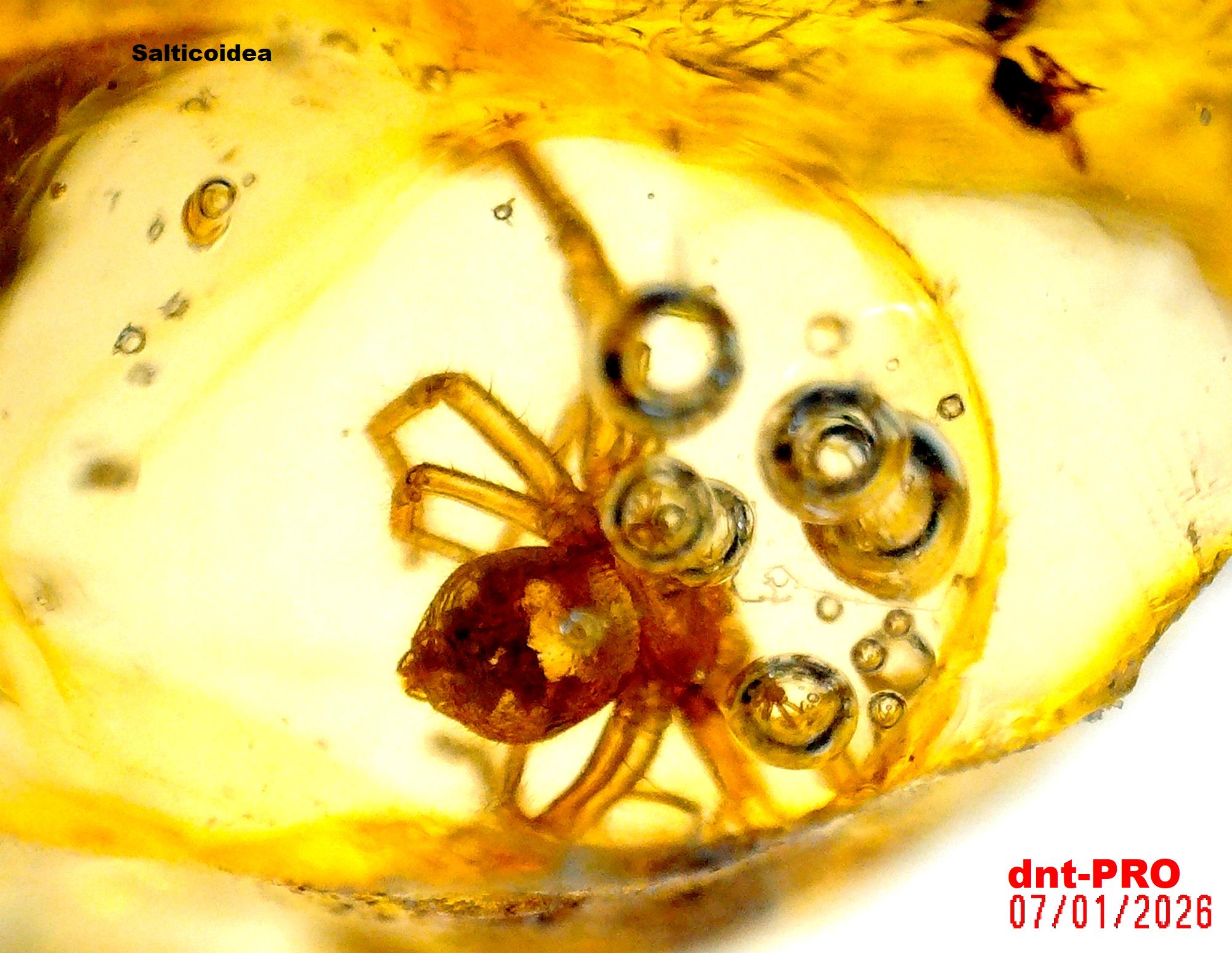 2026 0107 200354 003