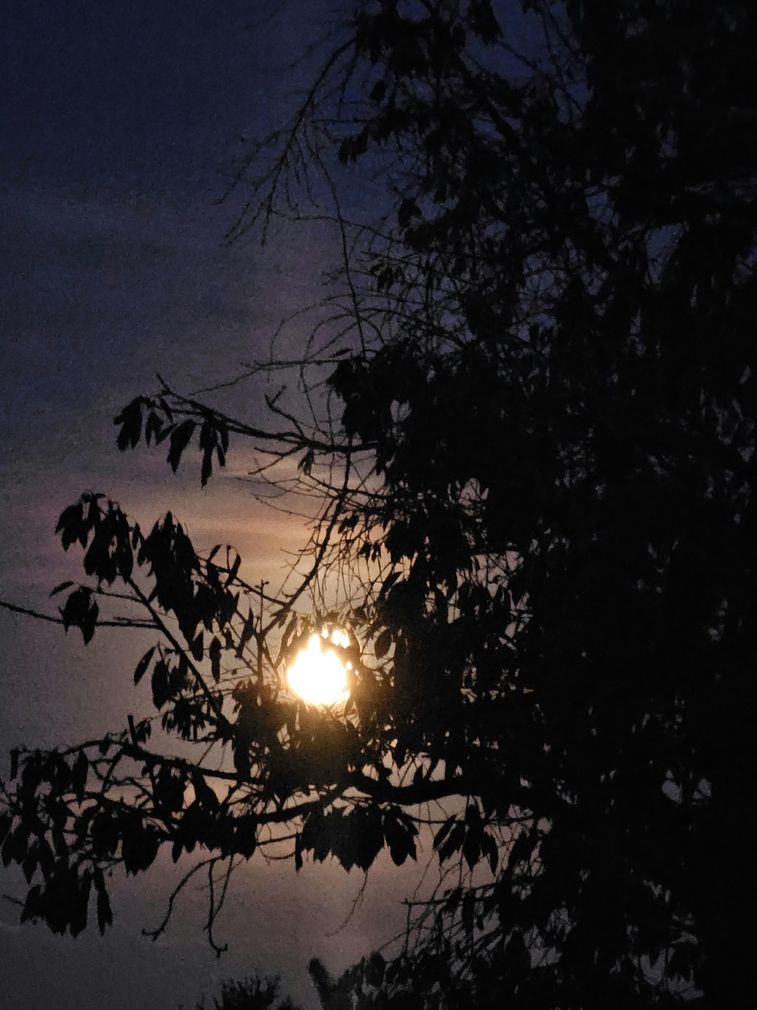IMG-20260926-WA0018