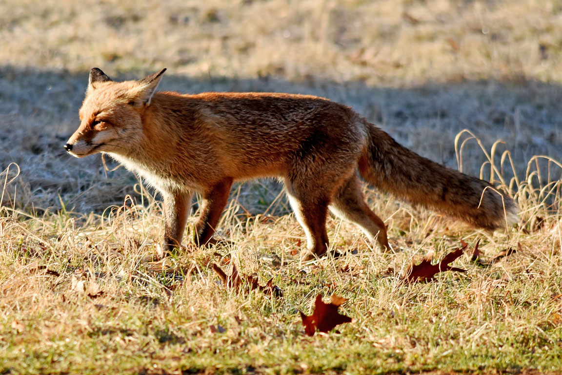 69f69848-3837-4dde-b44e-f0b458556622