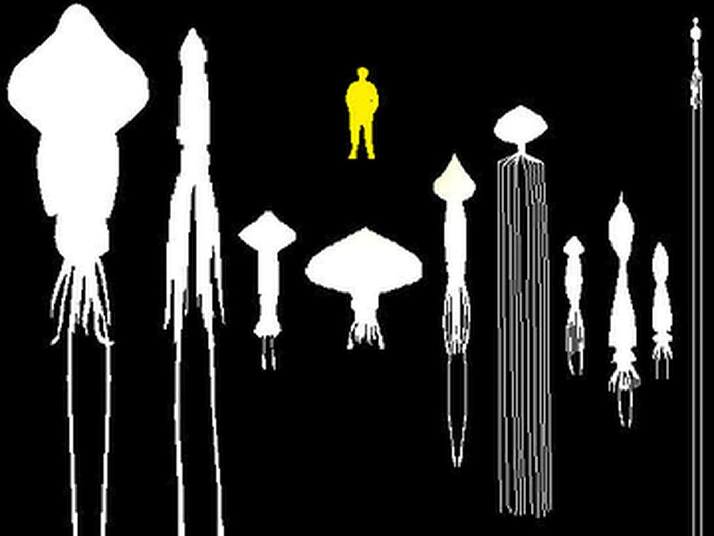 squidcompare.yellow.0.0