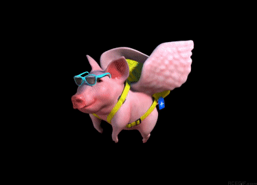 19-black-background-flying-pig-acegif4e5