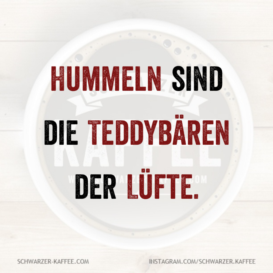Quotes-Creator-com.ist .quotescreator-17