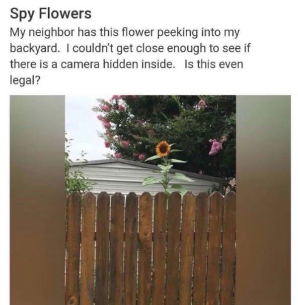 1000042654