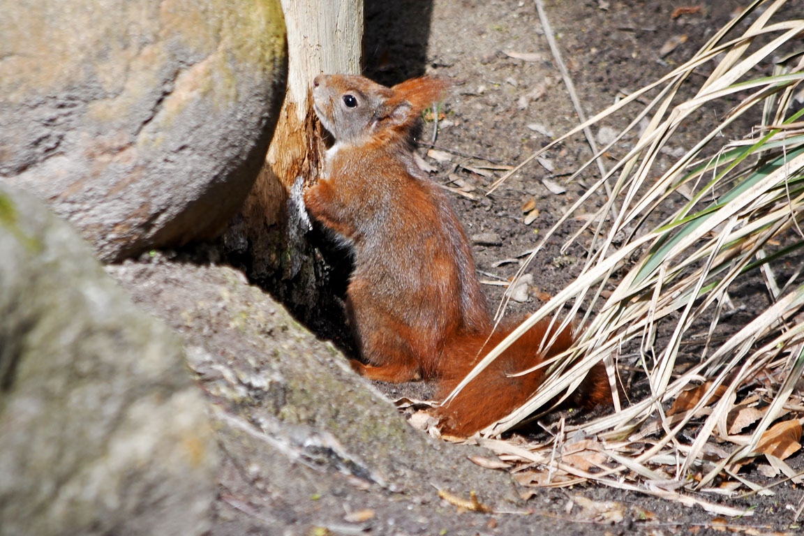 b7f467eb-e1ce-4357-92af-1b742f65d438