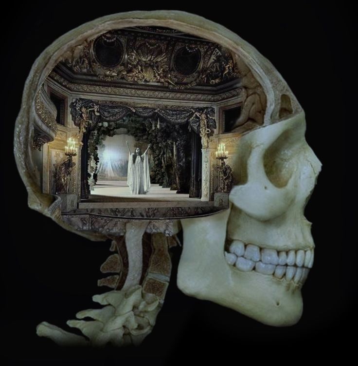 tumblr 8ab3663e49bd130c09dbb9df1dcafaa9 