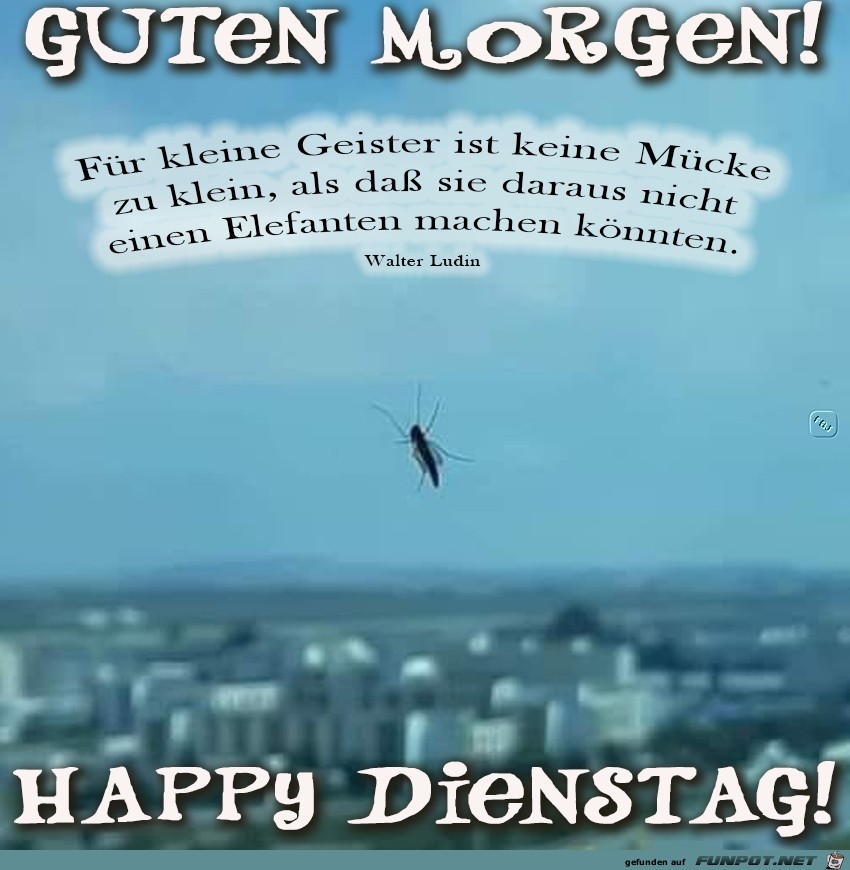 Dienstagtzrdturdtzrxs