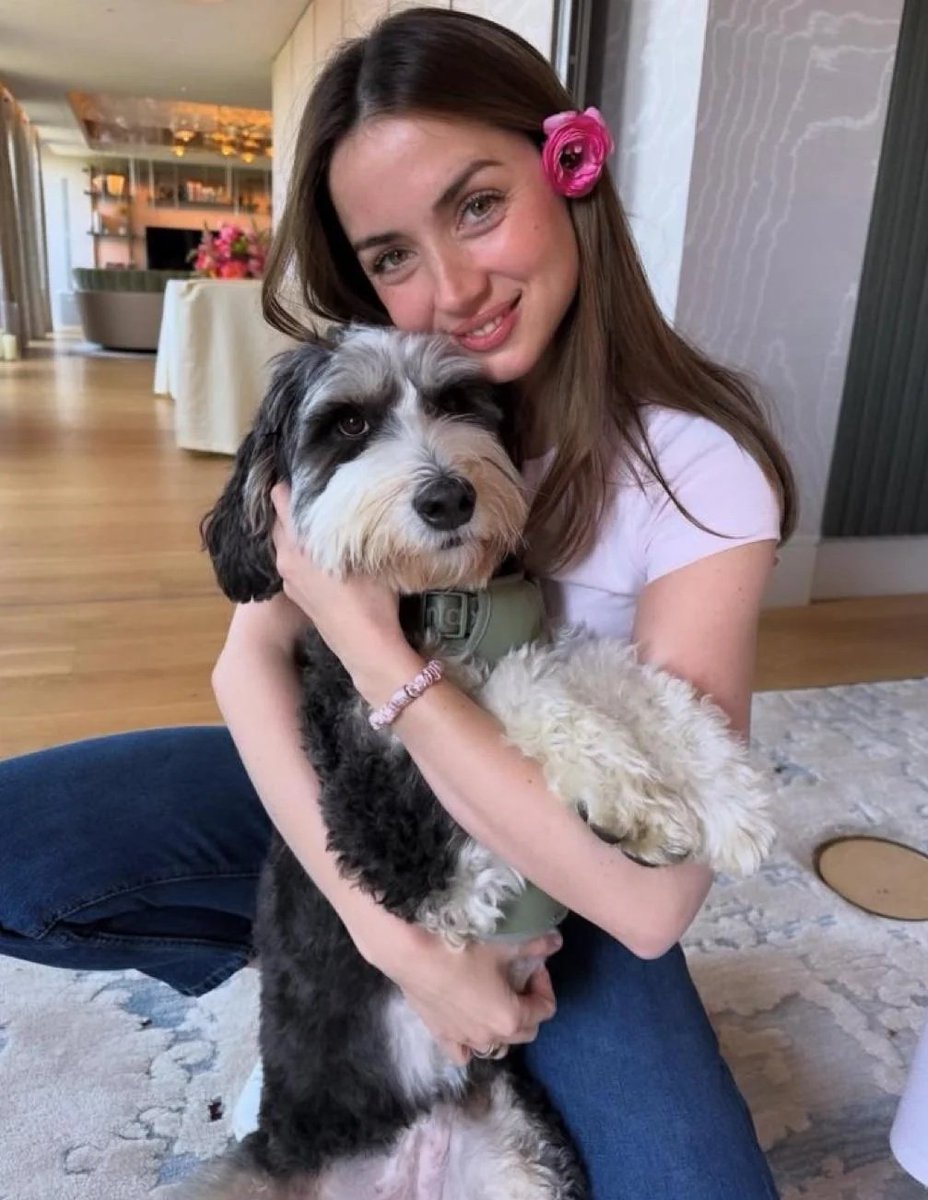 doggy ana - Copy