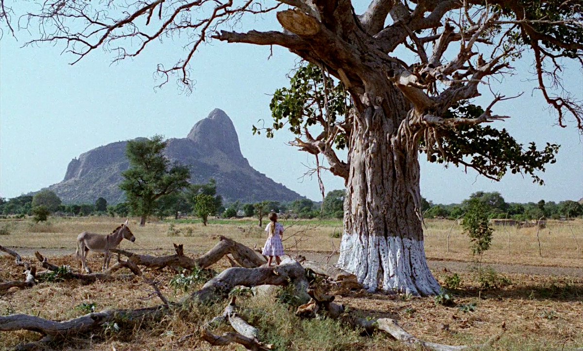 chocolat 1982 claire denis - Copy
