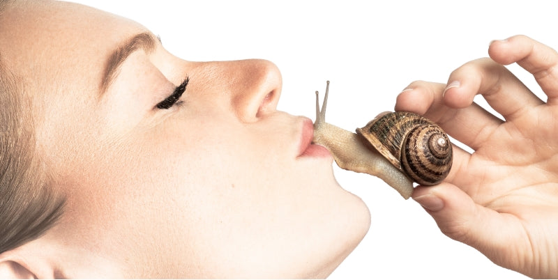 Les bienfaits de la bave d escargot pour