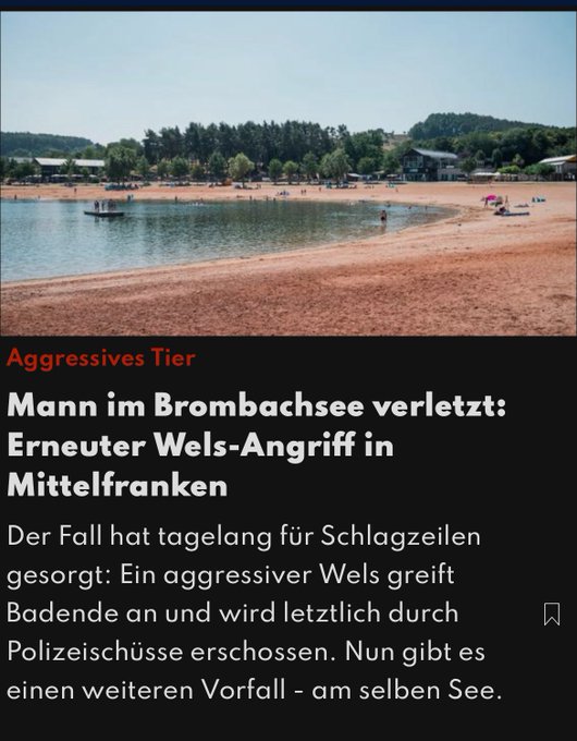 Wels 1 - Copy