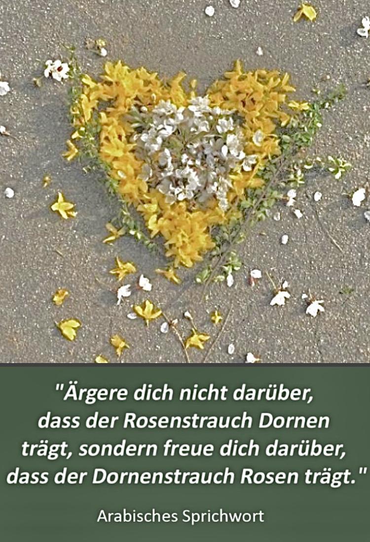 adlgekkbfnje yavx8bkqkaqy IMG 3679.jpeg 