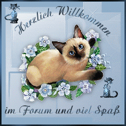 herzlich-willkommen-im-forum-und-viel-sp