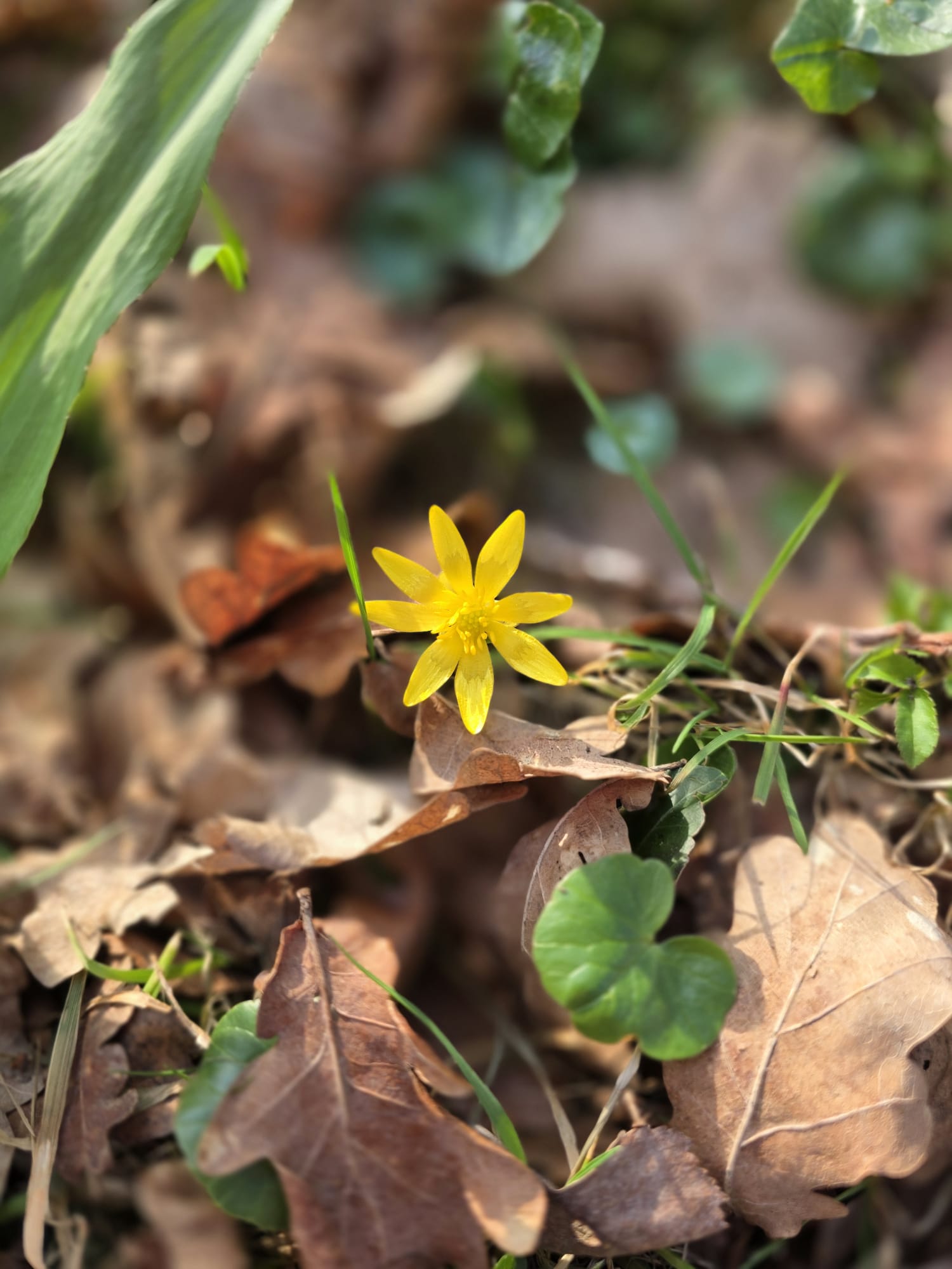 WhatsApp Image 2026-03-08 at 16.21.48 1