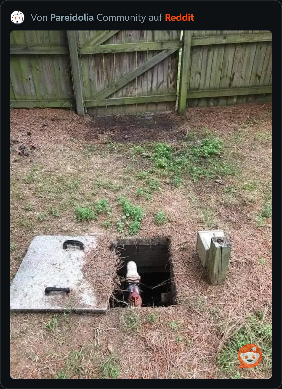 RDT 20251103 0859404060228117588801306