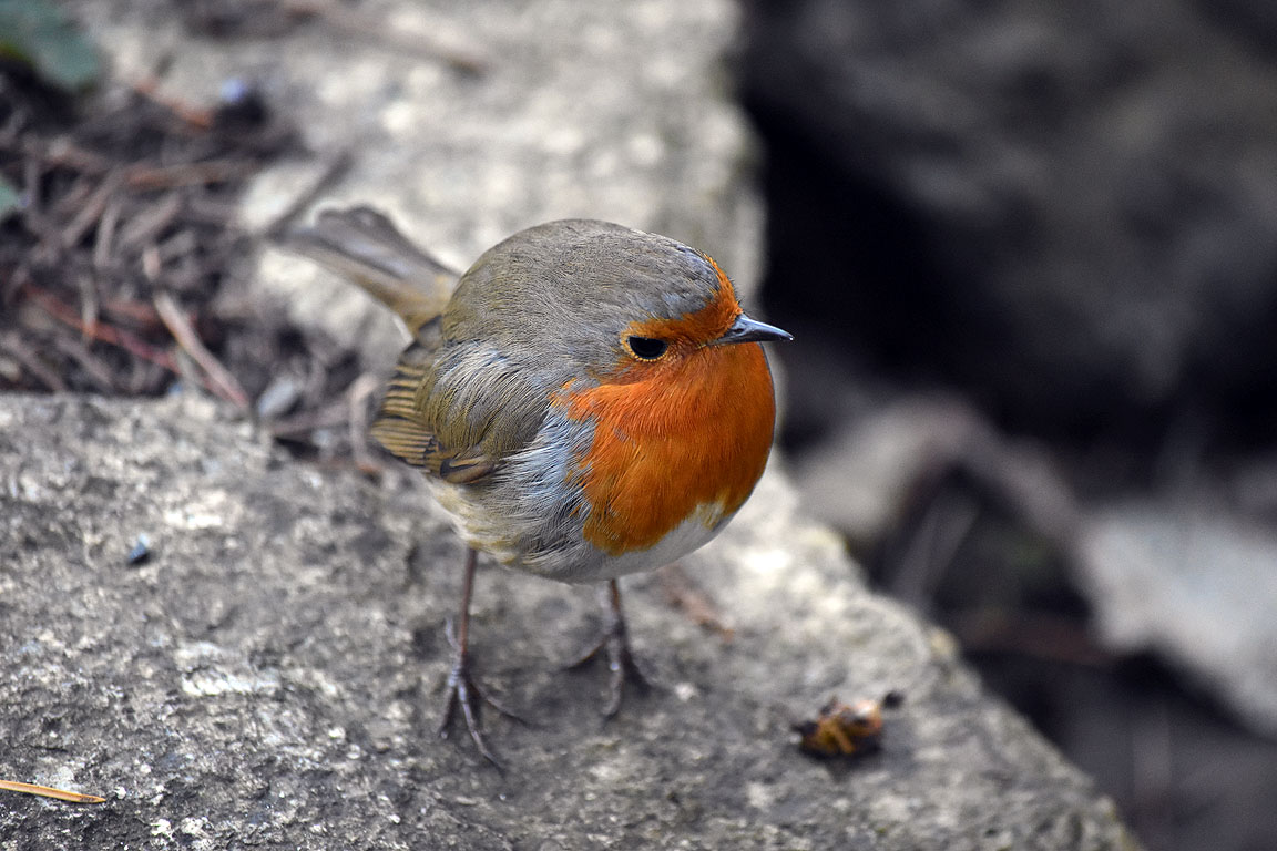 7317a3ff-a7ab-4381-b6e9-94d3e0b80cf1