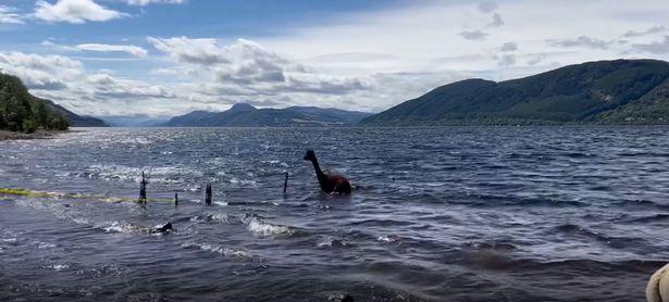 Alpaca in Loch Ness - Copy