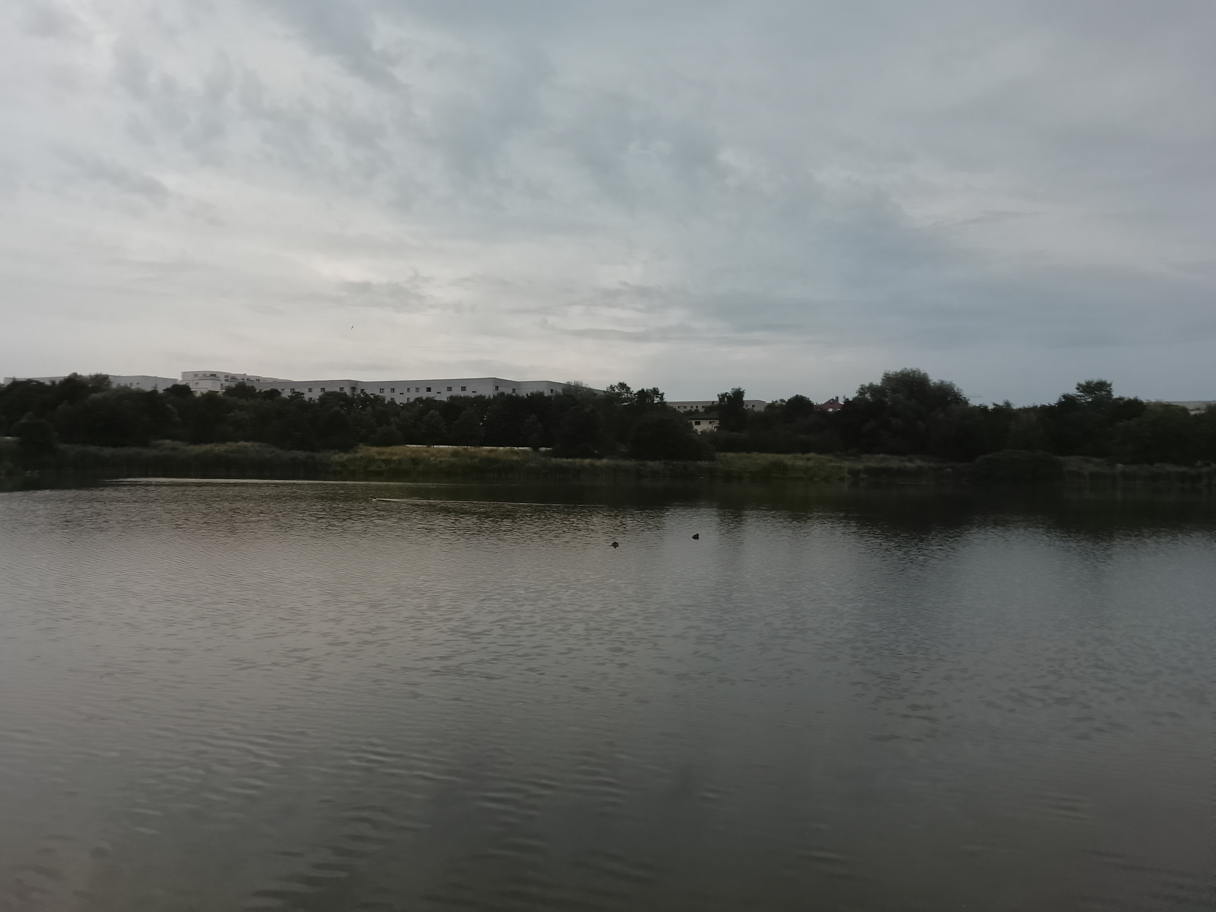 winqvuavmnko_IMG_20260629_113519.jpg