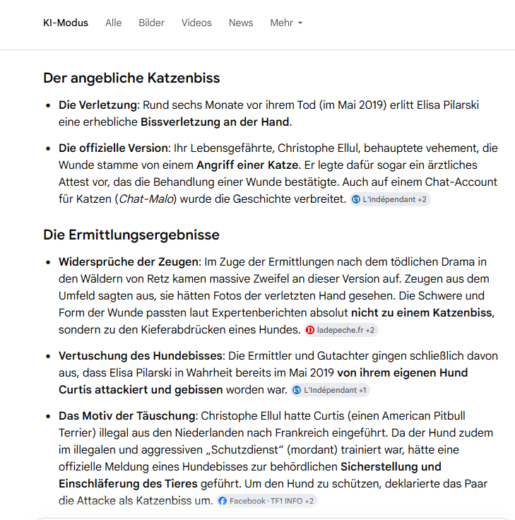 GoogleKI Pilarski Katzenbiss