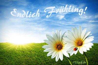 fruehling-0005