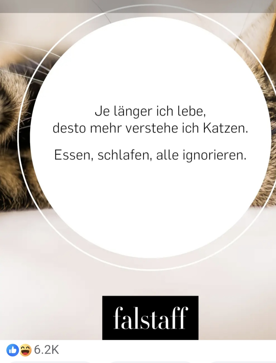 Screenshot 20251206 082715 Gallery