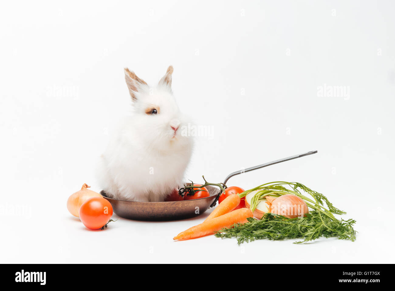 rabbit-inside-a-frying-pan-and-vegetable
