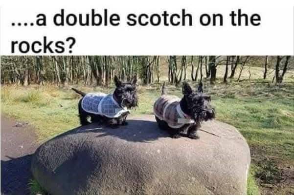 double scotch - Copy