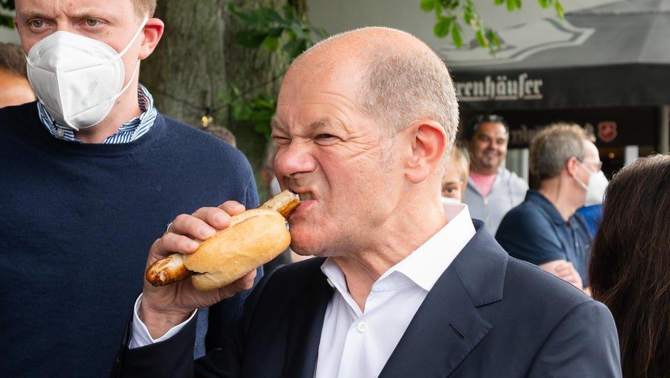 Scholz Hotdog - Copy