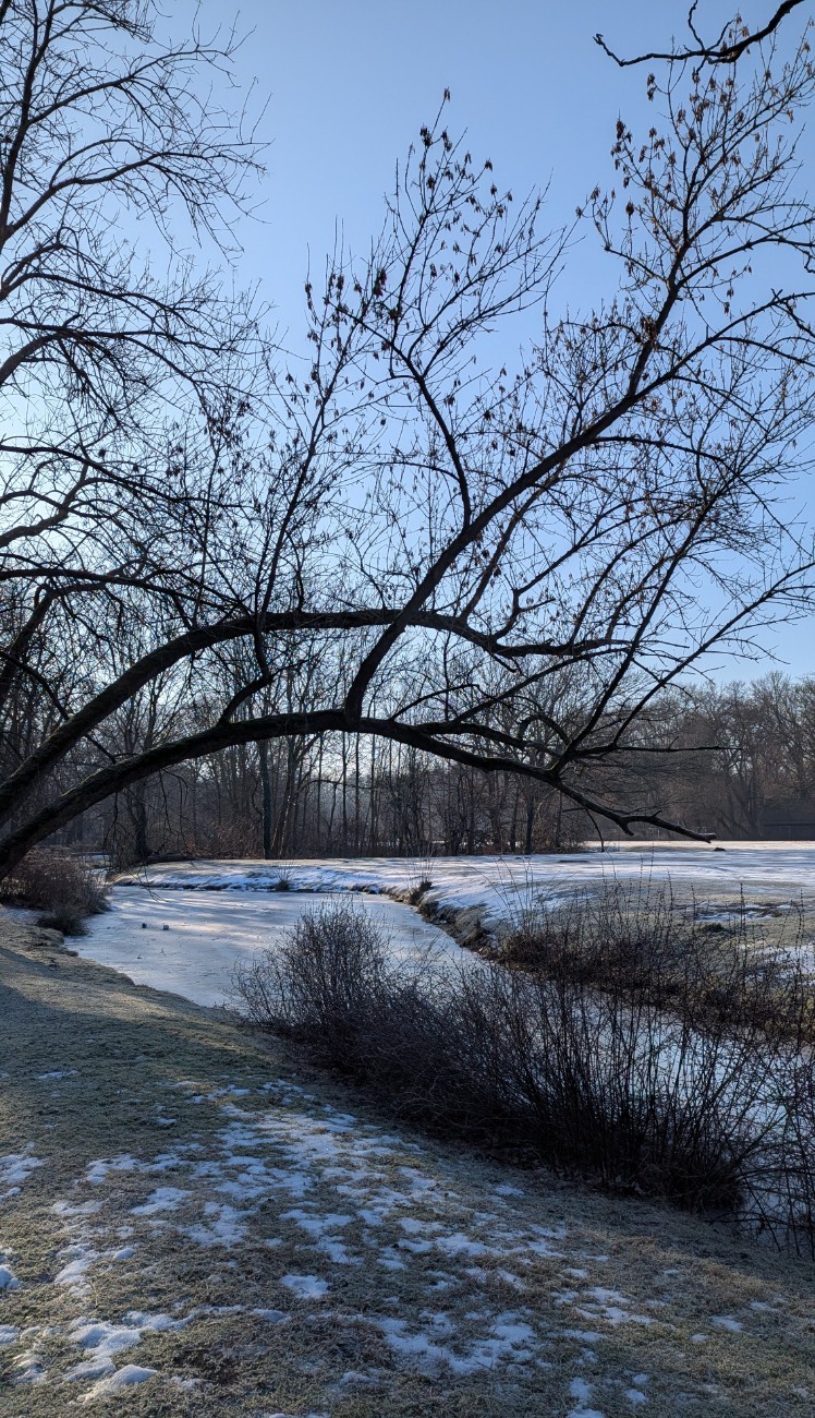 5ab250d2-6b21-4981-ba15-cab27a3db0ce cop