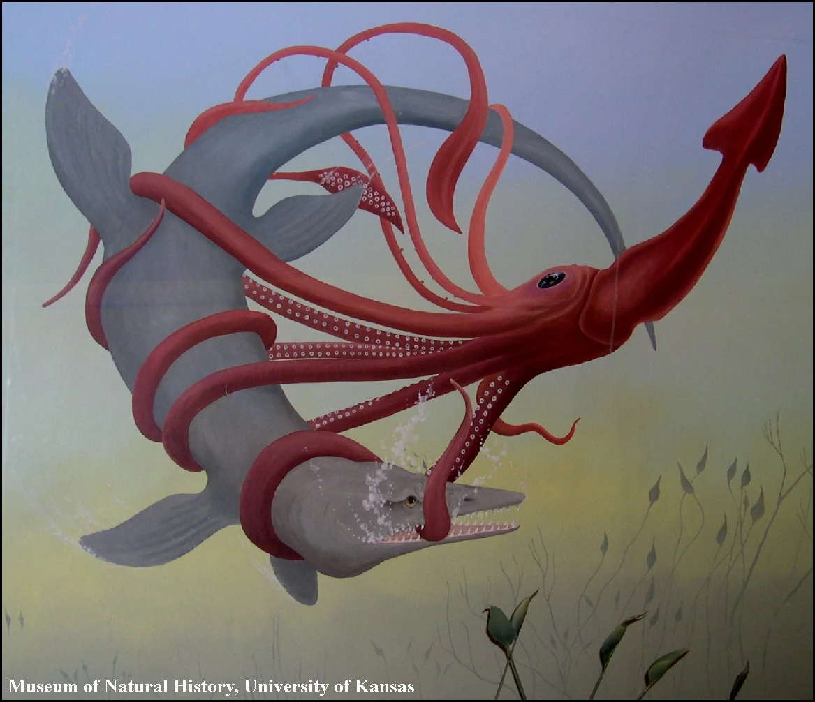 KU-Squid26Mosasaur.webp