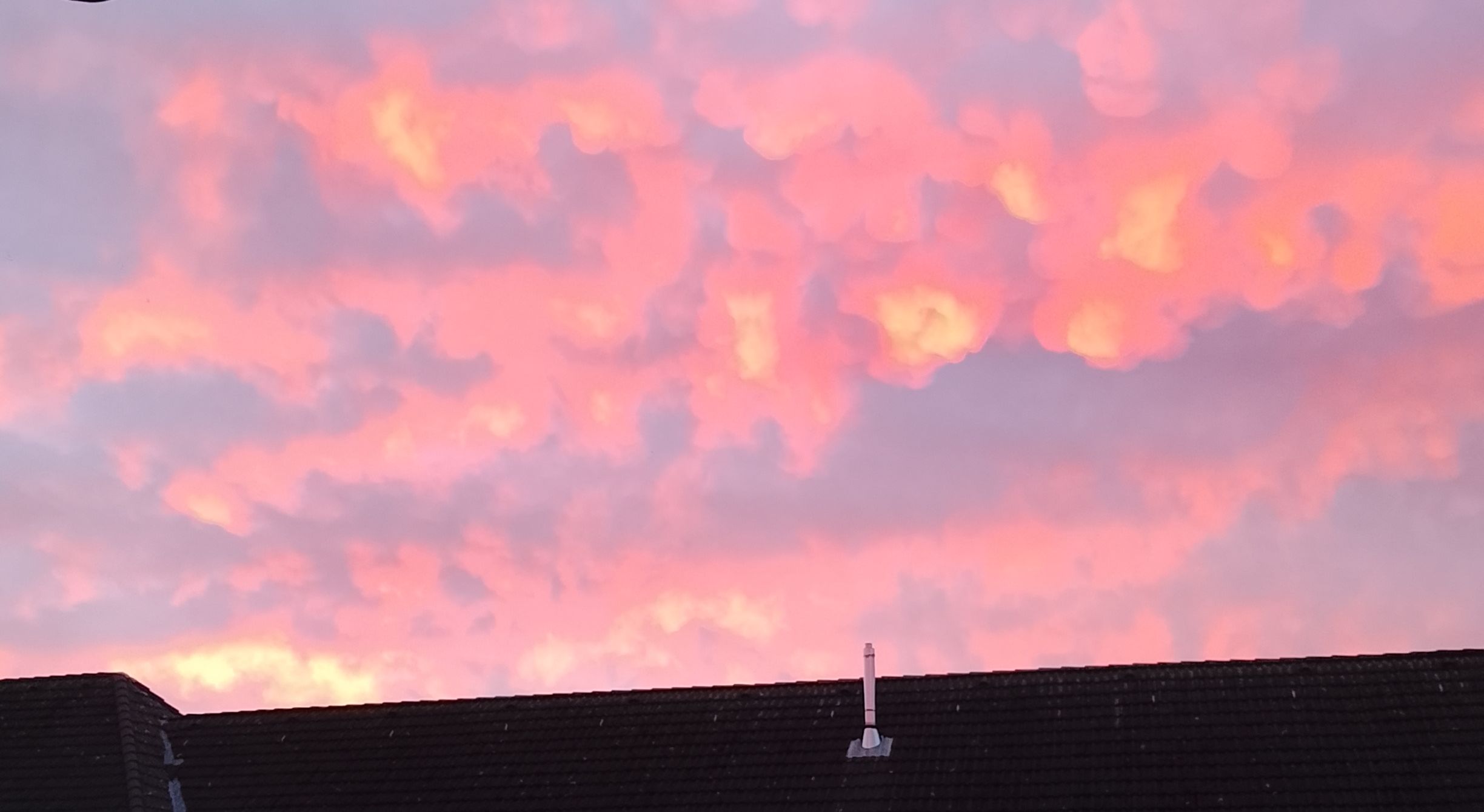 IMG 20251031 0714262