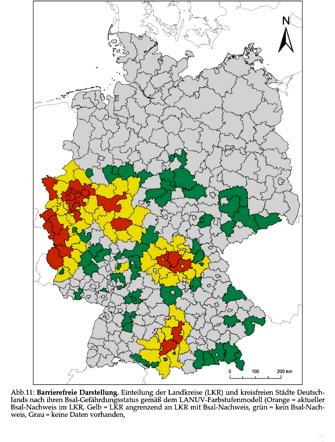 Feuersalamander Bsal-Gefhrdung Deutschla