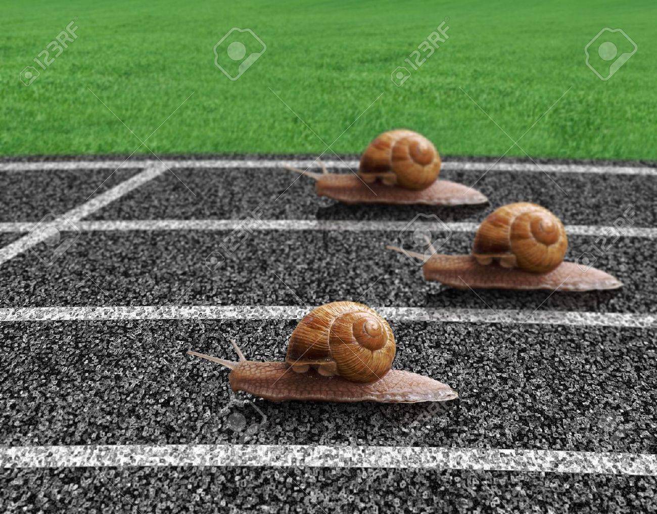 13109908-snails-race-on-sports-track-nea