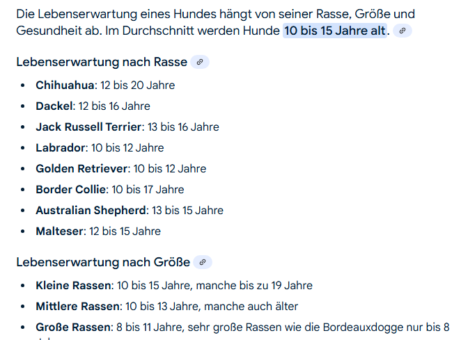 Bild 2025-04-05 174244770