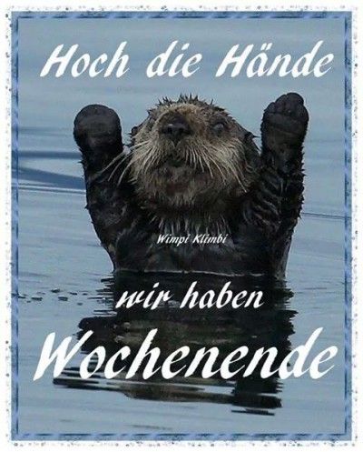 HochDieHnde