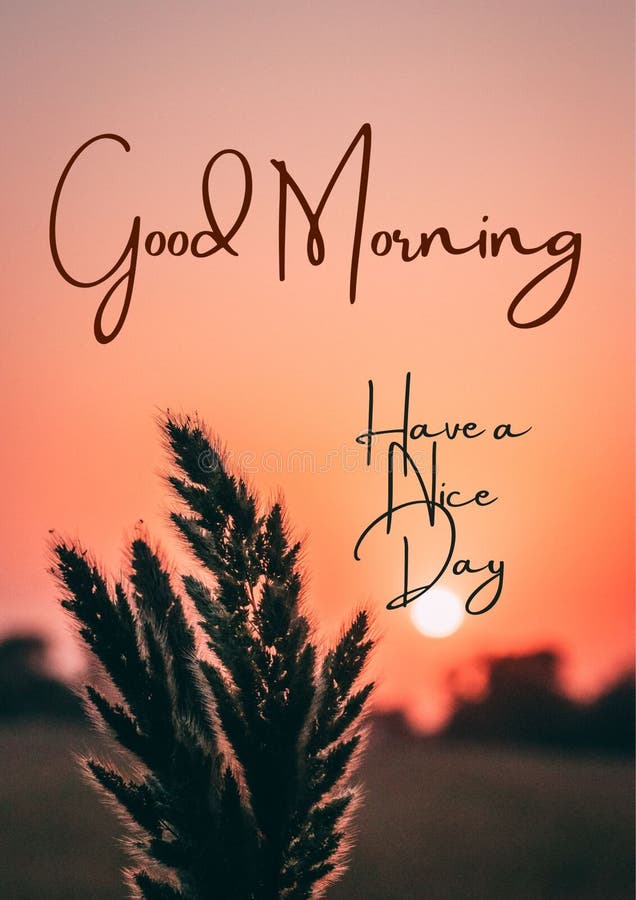 gute-morgensonne-mit-motivationsziffer-s
