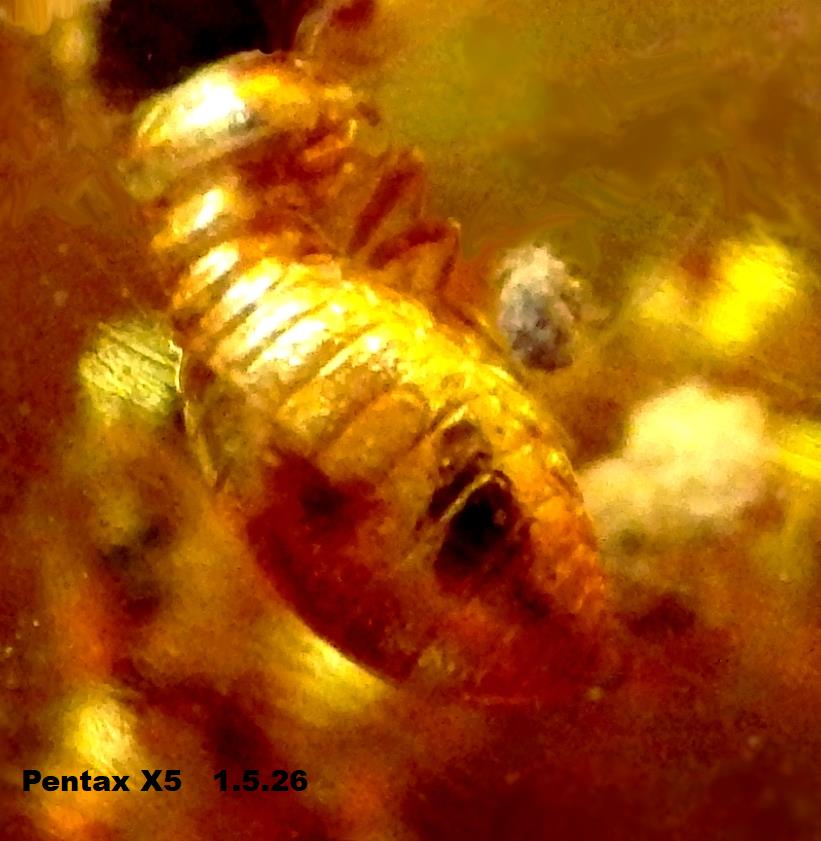 IMGP0881