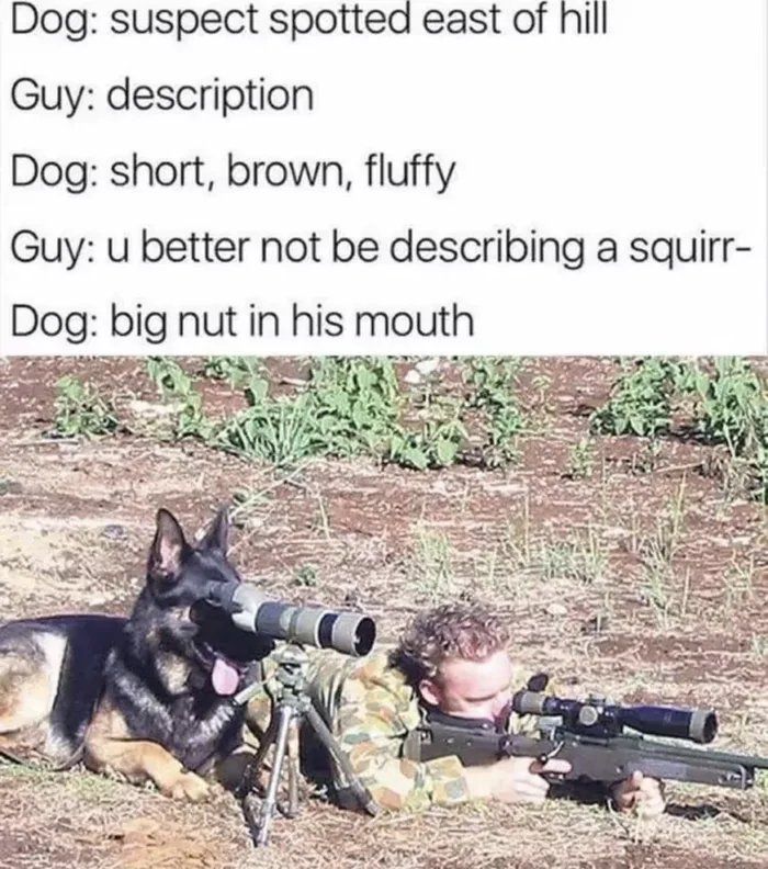 1000034725