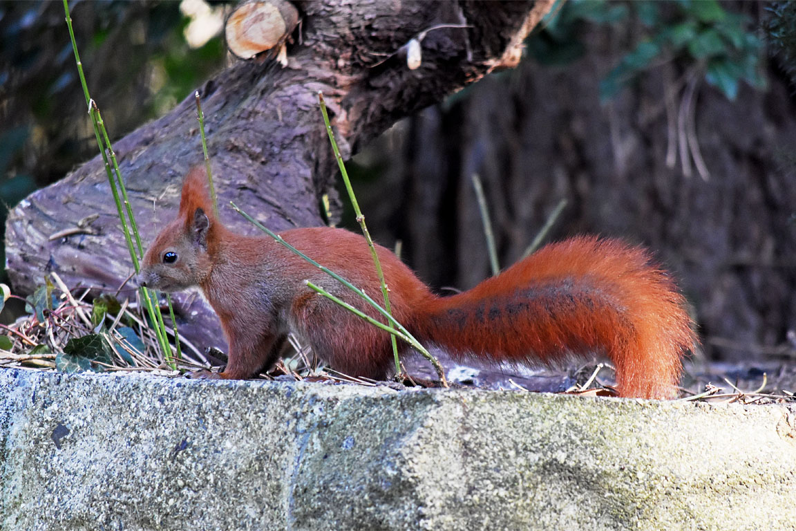 4cc045a2-f406-4991-a3a5-c30893c011ae