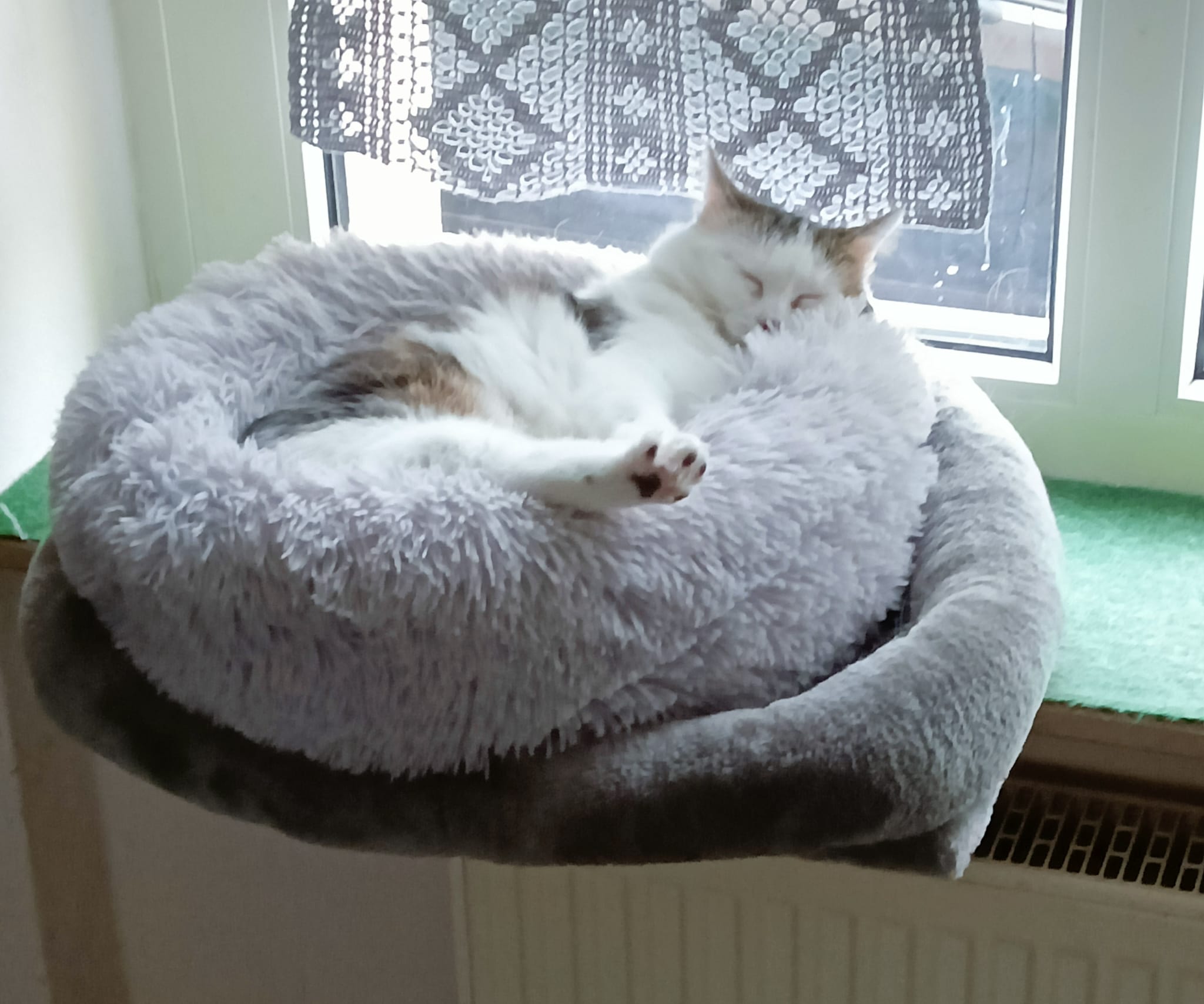 WhatsApp Image 2026-03-14 at 13.14.29