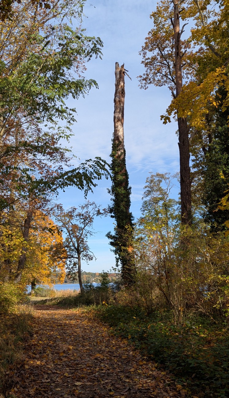 e599121d-b1d3-4c03-ab93-b2a65b492918