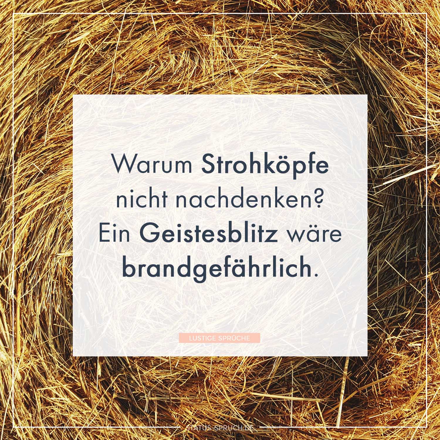 Lustige-Sprueche-158