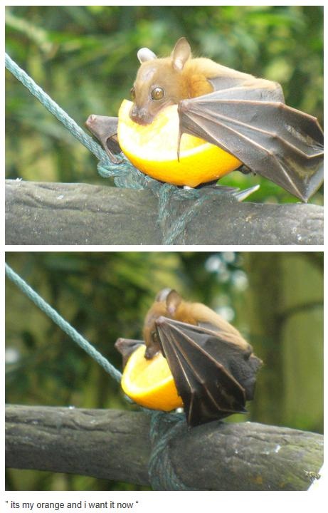 61865d93fb0d5b5a0ceafbc2a0aeb03d