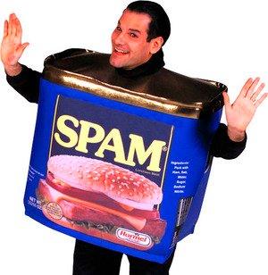 spam-costume
