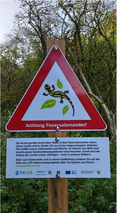 csm Achtung Feuersalamander 3b70687e43